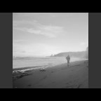 Good Coffee “Erica Dos”