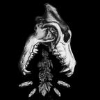 Johnny Stranger “P is for Pompeii” – Grunge Rock to Shake Up Your Summer