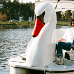 Jean Tonique “like you”, Quirky and Fun