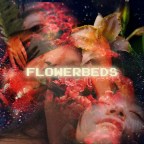 Fern Murphy “Flowerbeds”