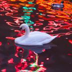 Kita Menari “Into the Dark”