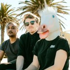 The Great Emu War Casualties “The Australian Parma Crisis”