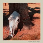 Kate Harquail “Trust Your Light”