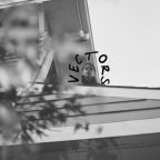 Carmen Canedo “Vectors”