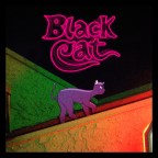 Valley Boy “Black Cat”