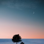 SODAPOP “Your Body Is Music”