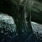 showalter “Where Are We Going”