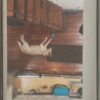 Grease Weasel “Turquoise Tupperware”