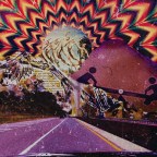 diet lemon “melt”