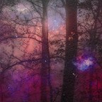 roussett “Rest Stop”