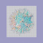 Pine Barons “Frantic Francis”