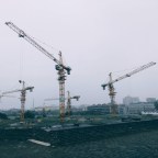 “Ashes Are Ashes” Dead Professional