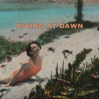 “Playing Your Records” Diving at Dawn