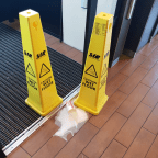 Gold Gold bring the energy