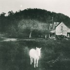 Garage Sale “Sink In Yr Ship”