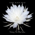 King Black Acid’s “There’s A Spirit Moving In Your House”