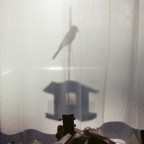 Schmoon “Pretty Darn Pretty”