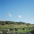 Ira Jackson “My Life Begins Today”