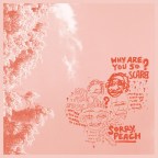 Sorry, Peach “why are you so scared?”