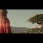 Smokey Brights “Reaction”